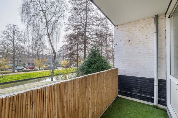 Medium property photo - Scholeksterstraat 66, 3181 ST Rozenburg